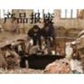闵行区过期奶粉销毁处理，杨浦区过期食品销毁，嘉定过期面条销毁
