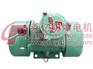 BZD ExdⅡ CT4氢气乙炔用防爆振动电机