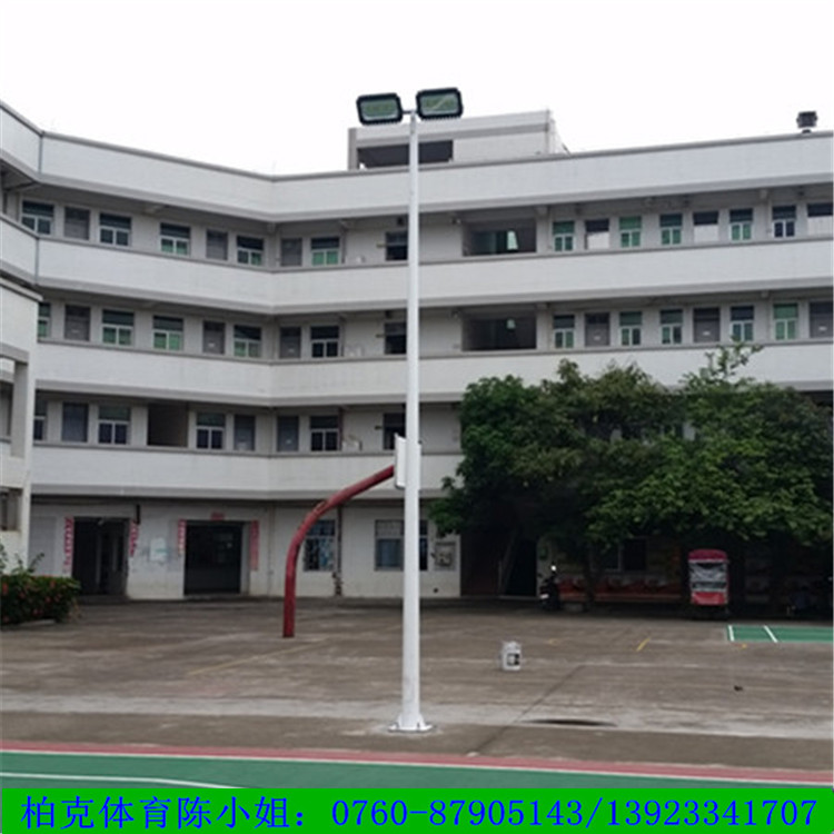 梅州市镀锌户外篮球场照明灯杆 厂家批发 篮球场灯杆 灯杆厂家