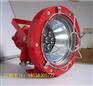 DGS20/127L(B)防爆型投光灯20W 127V