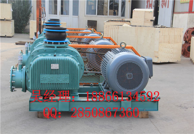 水冷真空泵|水冷罗茨泵|水冷罗茨真空泵