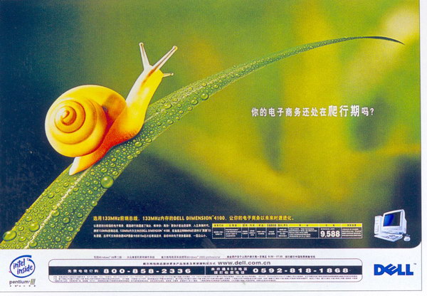 广州白云区印刷厂，印刷不干胶，单张，画册 - 印刷服务