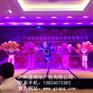 新品发布会，楼盘演出活动策划，订货会策划公司