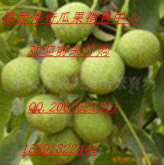 陕西青皮核桃价格  冬枣  李子