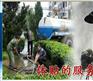 余姚大凤镇环卫抽粪专业吸污水淤泥