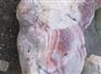 连江福建肉石 福建销量好的肉石供应