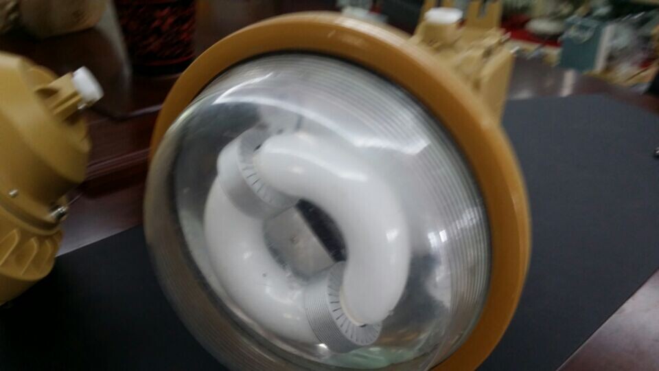 三防灯SBF6102-YQL40C2（120°吸壁式安装）  防水防尘防腐灯  1*40W无极灯  SBF6102型