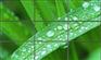 福州55寸液晶拼接屏