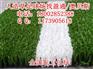 福鼎 晋江 石狮五人制草坪足球场报价多少钱一平方