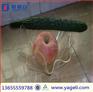 亚克力水果托盘 亚克力盘子 合肥雅格立工艺