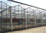 德州温室大棚建造:有口碑的温室大棚建造推荐