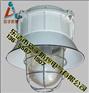 防爆工厂灯BFD-L100h1Z 100W 杆高2.5米