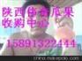 陕西200-1毛桃价格