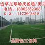 咸阳市 兴平市 渭南市 奥贝斯人造草皮批发足球场运动地坪