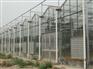 连栋温室建设，山东有口碑的连栋温室工程