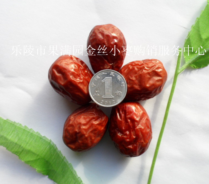 乐陵金丝小枣产地代收代购  金丝小枣价格  金丝小枣批发  乐陵小枣厂家