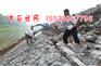 防洪堤防建设雷诺护垫_石笼护垫规格报价_雷诺护垫价格