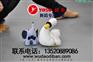 pvc舞蹈地板,专业舞蹈地板