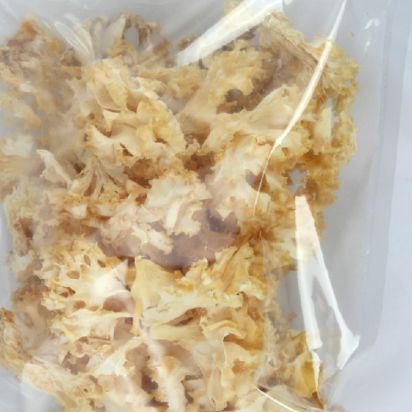 具有价值的阳光蘑菇 福建销量好的绣球菌推荐