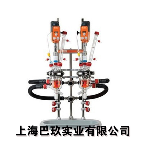 Reactor-Ready Duo實(shí)驗(yàn)室反應(yīng)釜