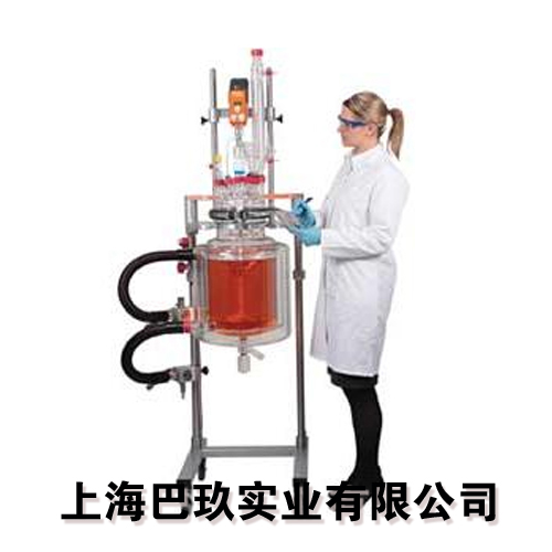 英國Ready Pilot實驗室反應(yīng)釜
