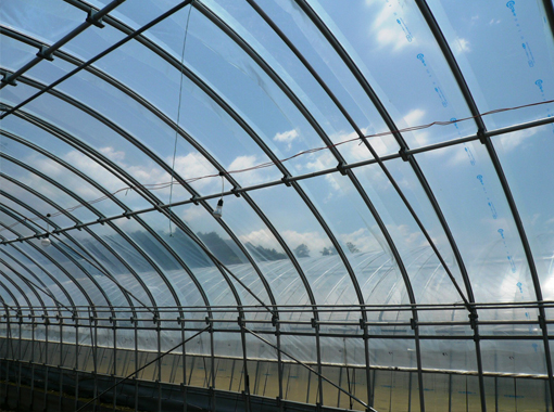 寿光大棚膜_信誉好的农用大棚膜供应商推荐