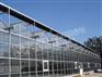 Pc板温室建造|Pc板温室建造公司| Pc板温室造价