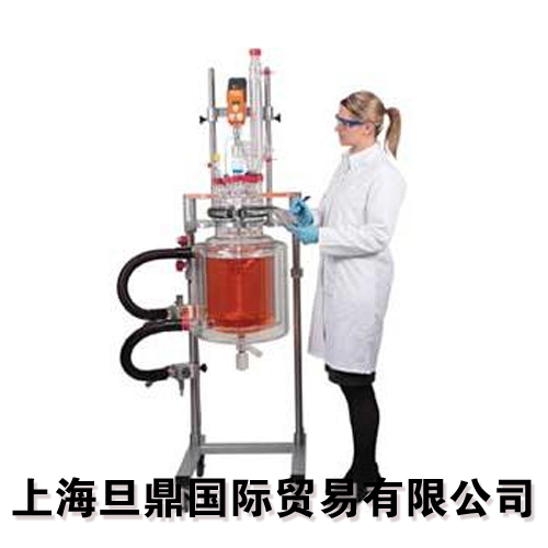 英國Reactor-Ready Pilot實驗室反應釜
