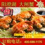 2015年阳澄湖大闸蟹价格 大闸蟹价格表 大闸蟹价钱
