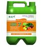 【荔枝】荔枝结果期就要叶面喷施膨果专用水溶肥