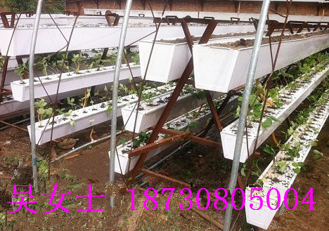 立體式種植槽 草莓栽培架 無土種植槽生產(chǎn)