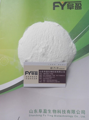 新式瓷砖粘结剂专用纤维素河南中牟县厂家直销