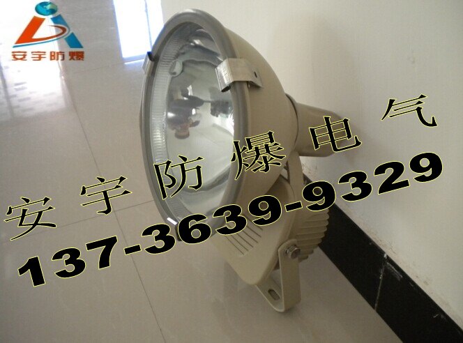 GT101-L250坐装250W大功率投光灯/防震投光灯厂家&nbsp;&nbsp;防水防尘投光灯&nbsp;&nbsp;250W防震射灯&nbsp;&nbsp;GT101投光灯