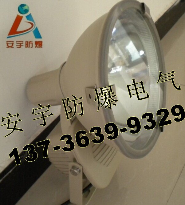 GT101-L250坐装250W大功率投光灯/防震投光灯厂家&nbsp;&nbsp;防水防尘投光灯&nbsp;&nbsp;250W防震射灯&nbsp;&nbsp;GT101投光灯
