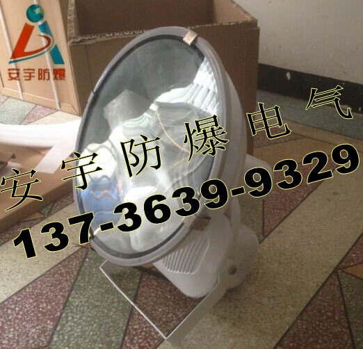 GT101-L250坐装250W大功率投光灯/防震投光灯厂家&nbsp;&nbsp;防水防尘投光灯&nbsp;&nbsp;250W防震射灯&nbsp;&nbsp;GT101投光灯