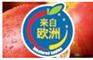 宁波进口国外农副产品报关