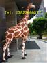 大型动物长颈鹿雕塑 专业提供大型玻璃钢长颈鹿雕塑生产厂家