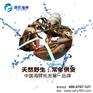 澳洲大龙虾多少钱  <孙氏海鲜> 最实惠