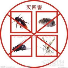 如何選擇西北專業(yè)滅鼠滅蟑_最知名的西北專業(yè)滅鼠提供
