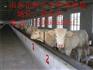 黑河肉牛犊多少钱一头 哪里有卖肉牛犊的