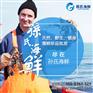 中华鲟鱼的价格----<孙氏海鲜> 极致品相次日达