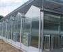 安徽阳光板温室建设 有品质的阳光板温室建造推荐