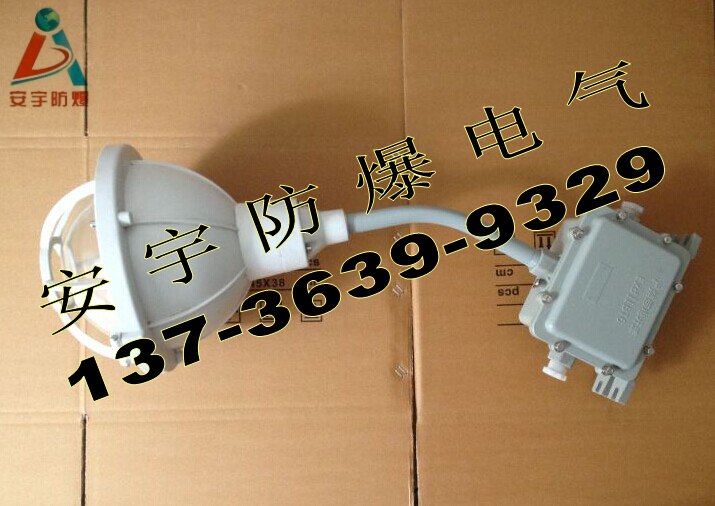 带蓄电池FAD-S-B45GZ三防节能灯45W/IP65报价&nbsp;&nbsp;45W应急灯&nbsp;&nbsp;吊杆防腐应急灯&nbsp;&nbsp;45W壁式三防灯