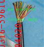ZR-HYV 20×2×0.7