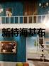 新特海吉布是一种新型的绿色环保建材
