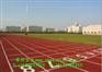 上海嘉定尊炫塑胶跑道施工报价  学校400米 800跑道预算