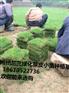 草皮价格（2/捆）7月草坪新价格