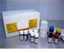 小鼠抑制素B(INH-B)elisa试剂盒