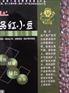 保定红小豆专卖