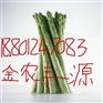 美国进口原装高产芦笋种子